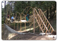 Fitness Equipment - Burma Bridge - FE16
